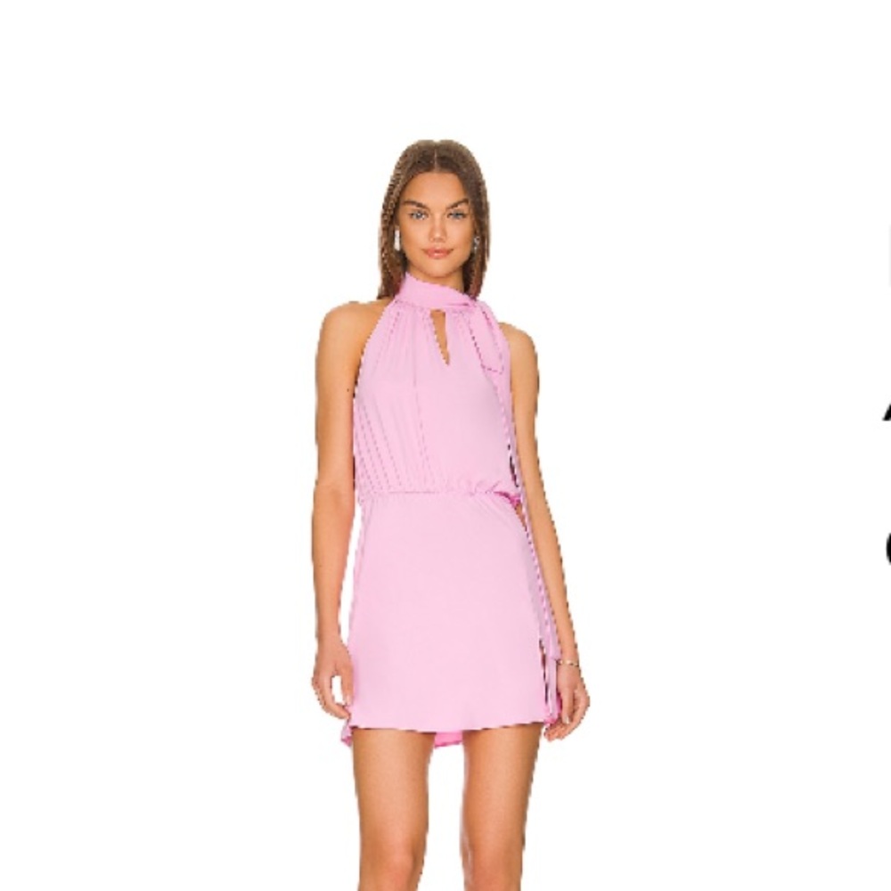 NWOT Amanda Uprichard Mallory Dress in Carnation